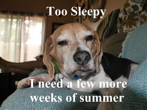 more summer 